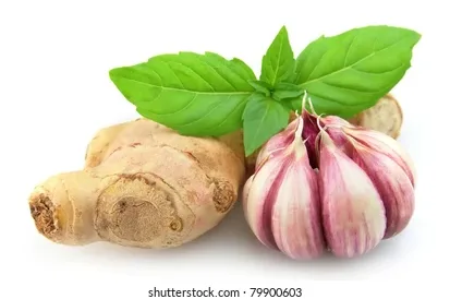 Herbs & Seasonings