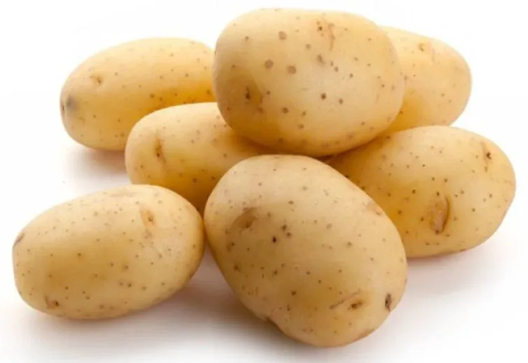 Potato