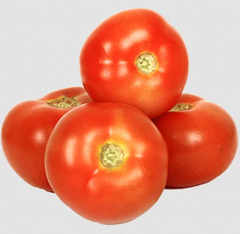 Tomato - Hybrid